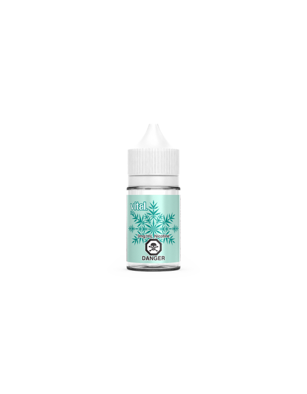 Ice E-Liquid (30ml) - Vital